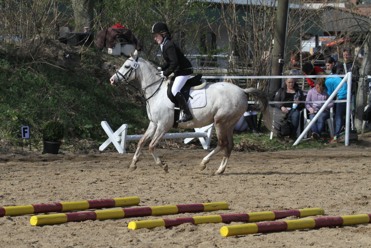 Bild 1181 - WBO-Turnier am 9.4.11